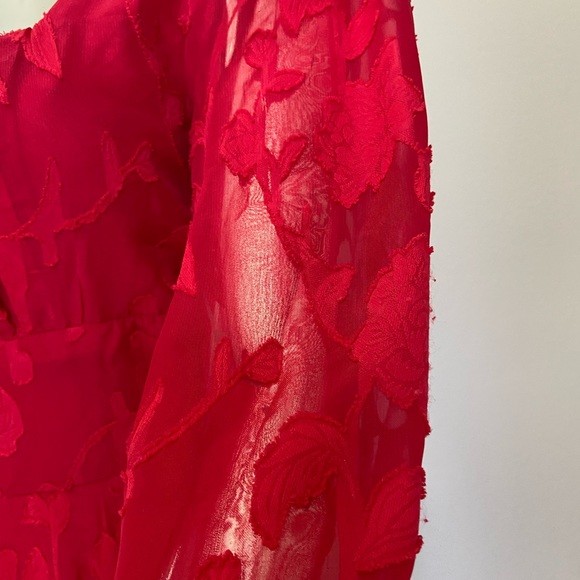 Sheer Lace Dress - Picture 5 of 6